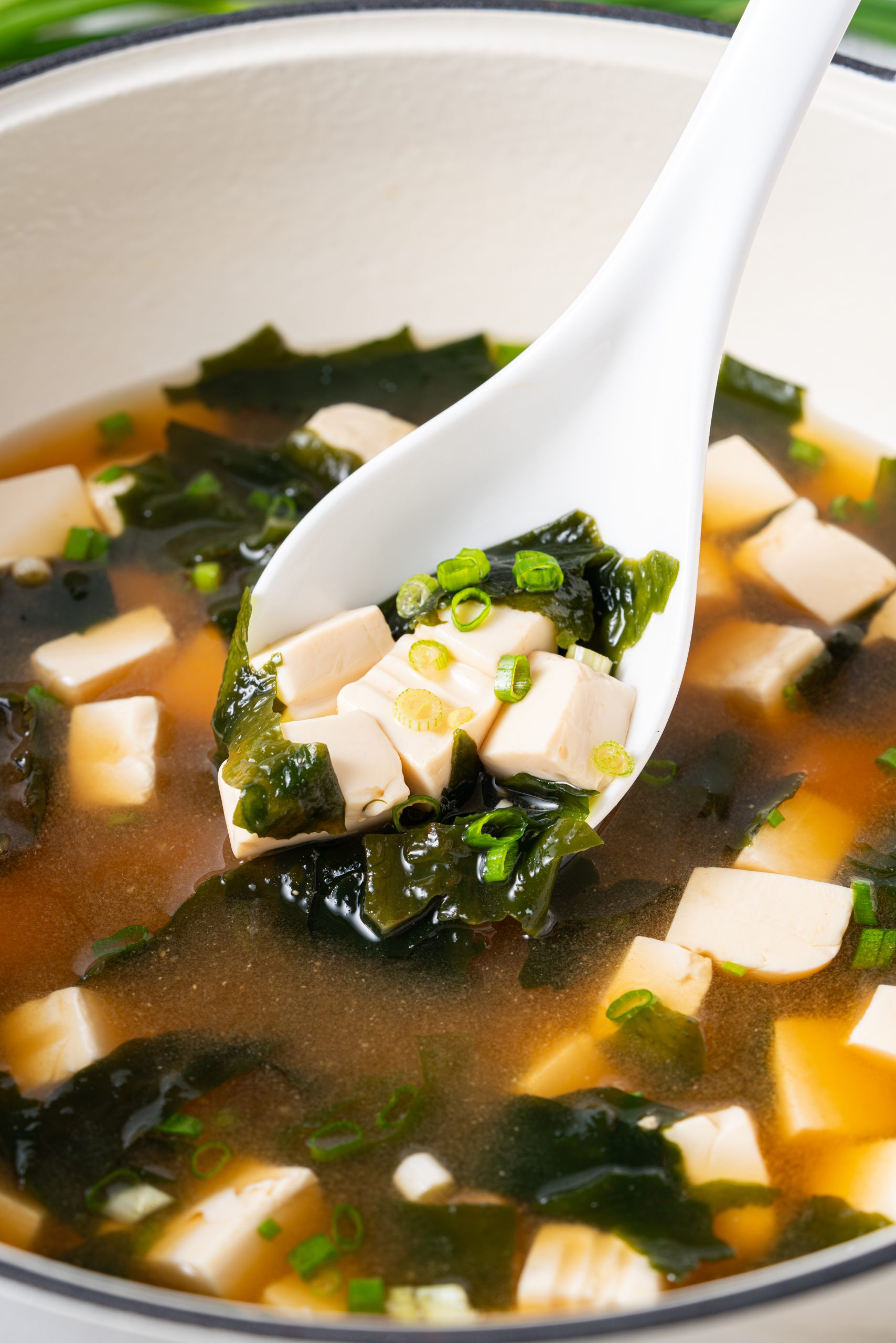Close-up of a spoon lifting tofu cubes, seaweed, and green onions from a bowl of Japanese miso soup.