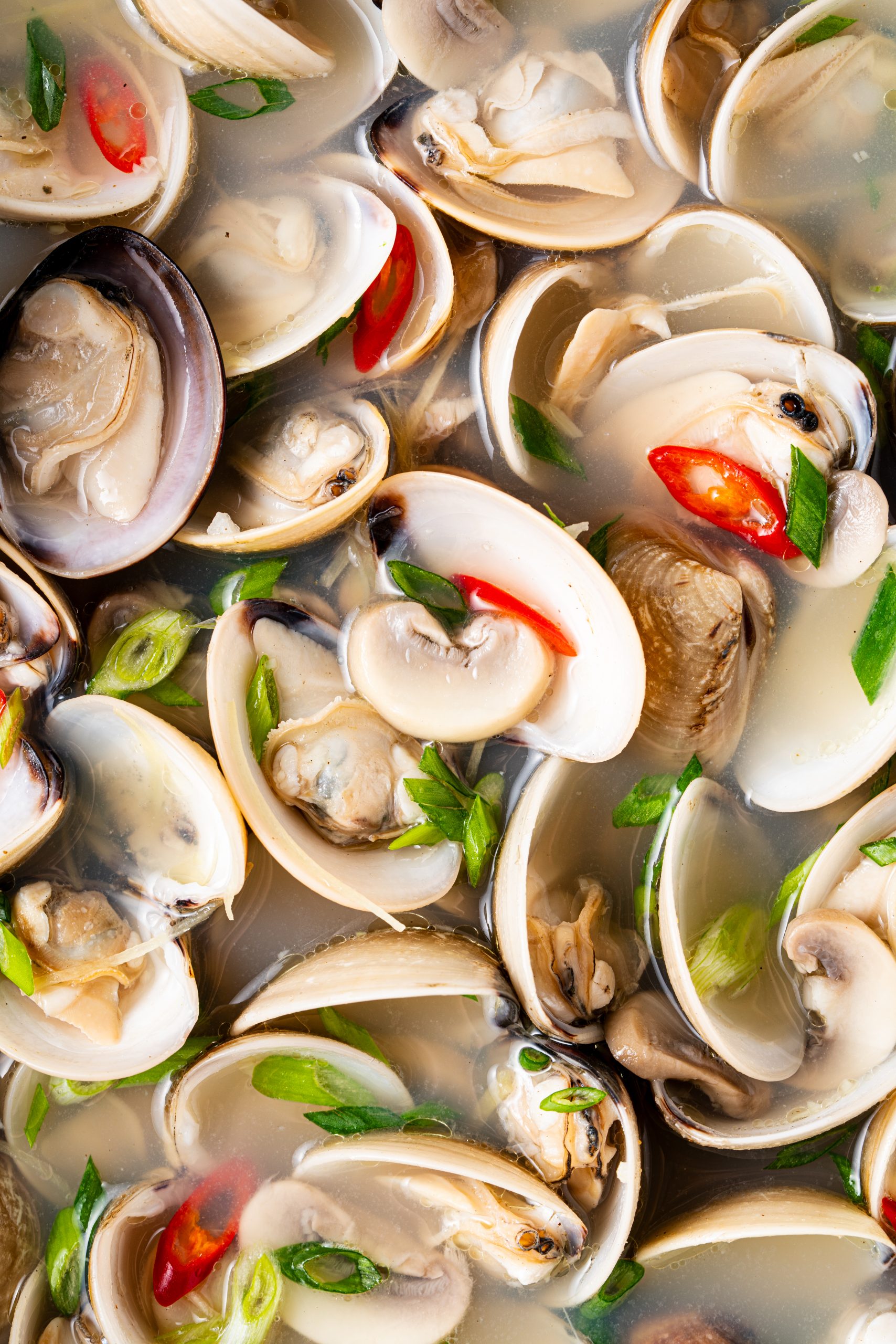 Close up of asian clam soup with clams, ginger, and green onions