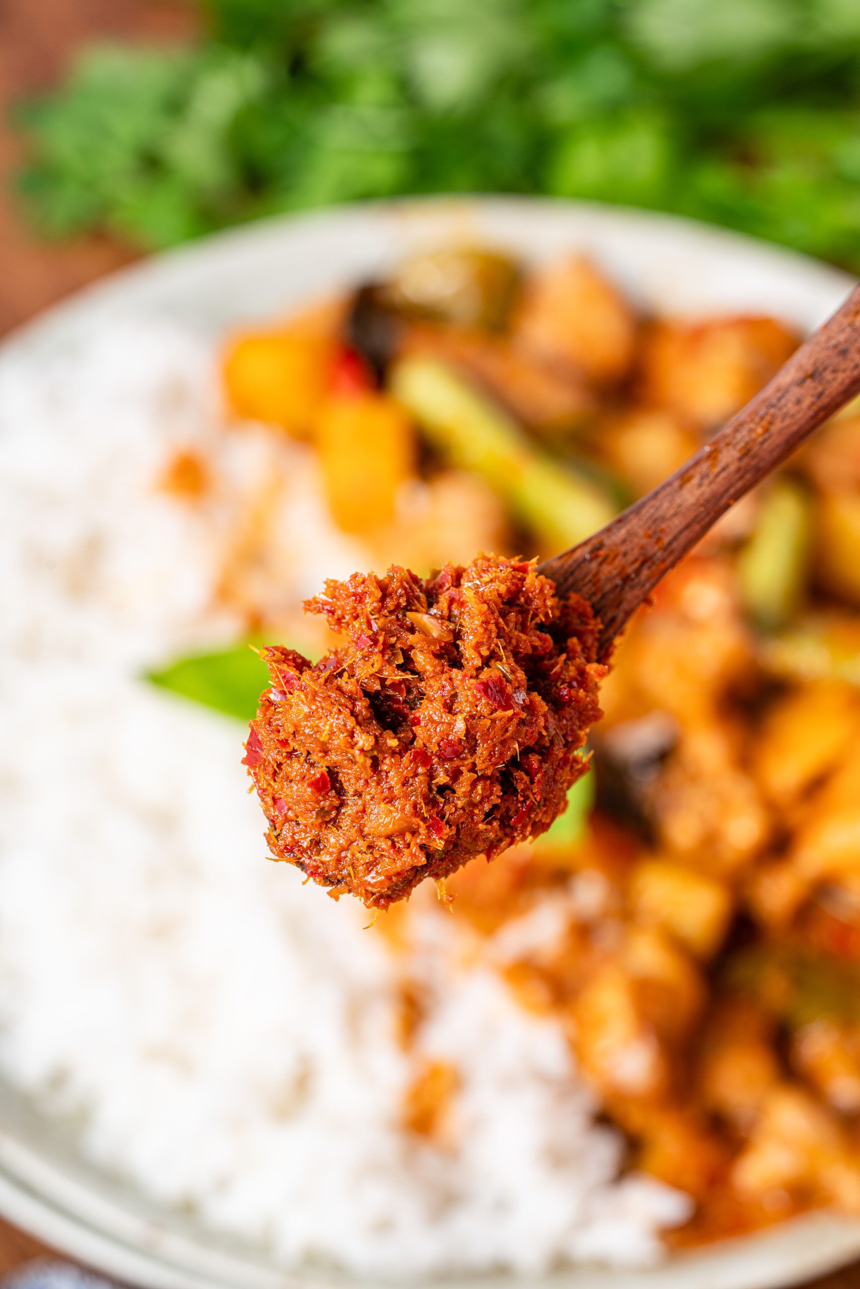 Spoonful of Panang curry paste over rice and chicken curry, rich and aromatic Thai flavor base.