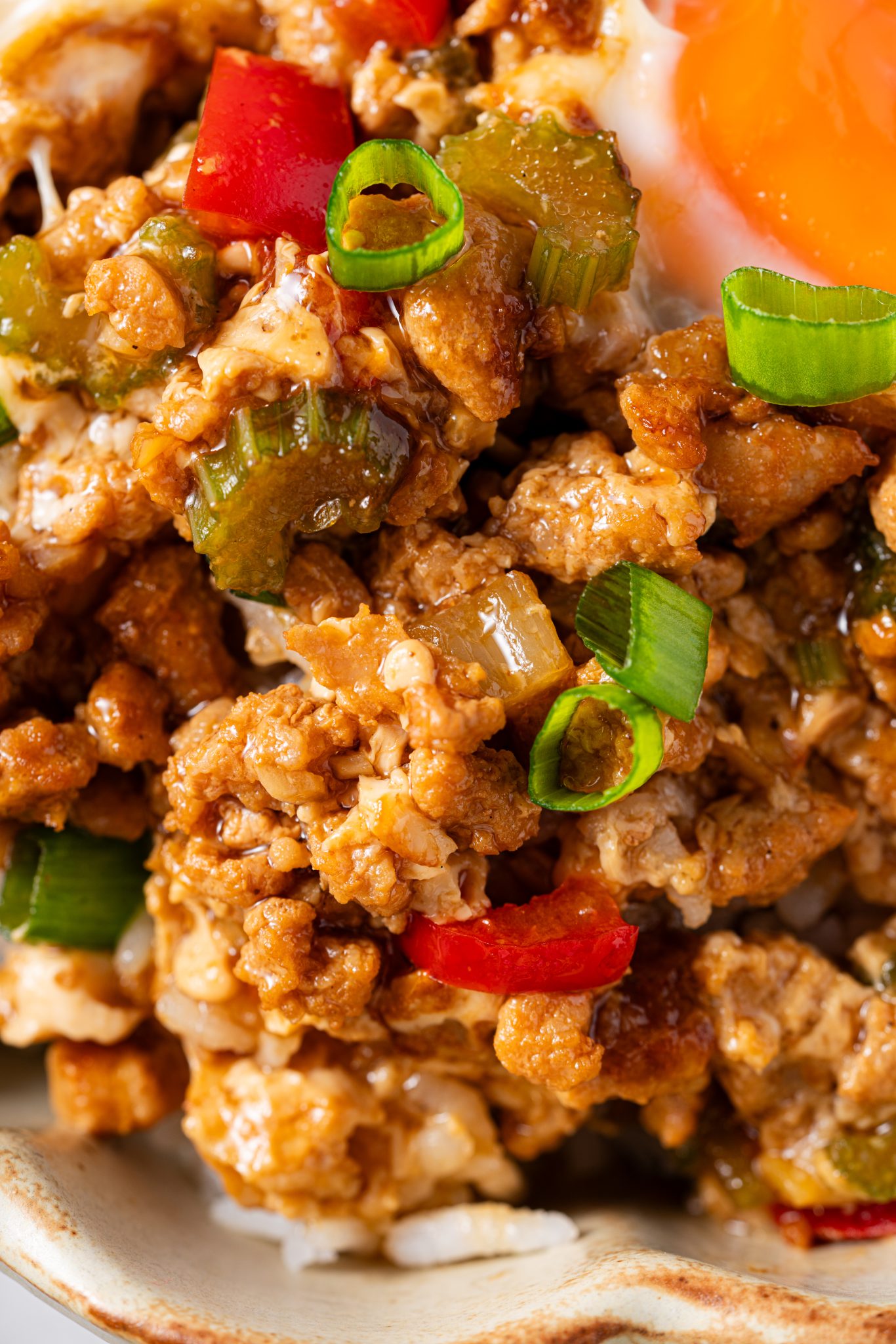 Macro shot of savory minced meat with red peppers, celery, scallions, and a soft fried egg.